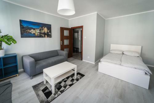 Silver Vision Apartment - Rynek Opole Dış mekan fotoğraf